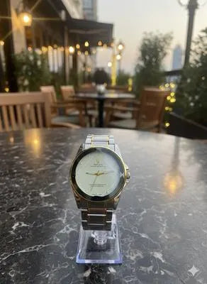 Men's Two-Tone Stainless Steel Watch Round Dial Gold Silver